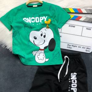 202504010_snoopy_gruen.jpg