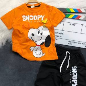 202504011_snoopy_orange.jpg